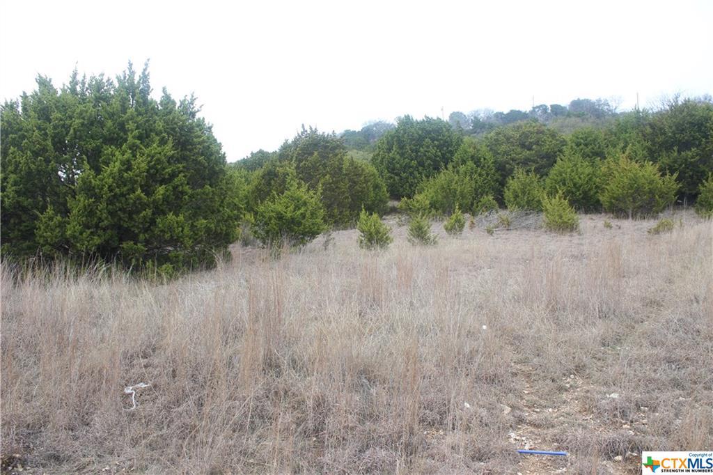000000 Pecan Cove - Photo 1