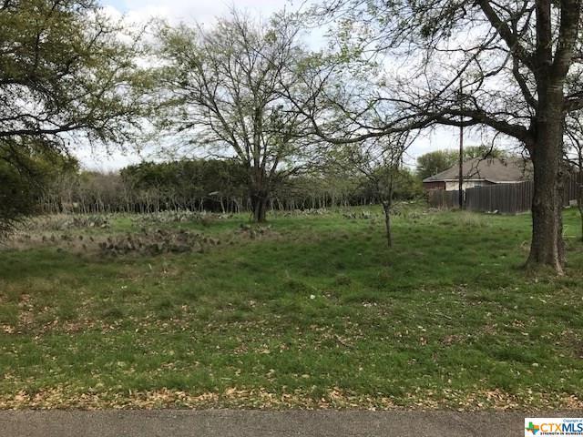 152 Stirrup Drive - Photo 1