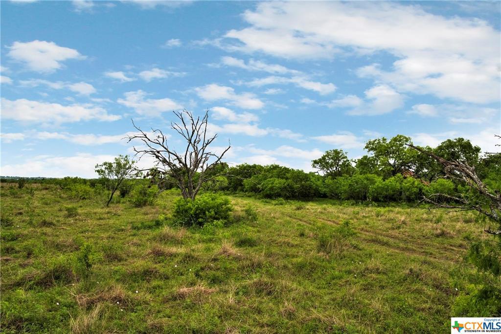 3249 Fm 1107 - Photo 1