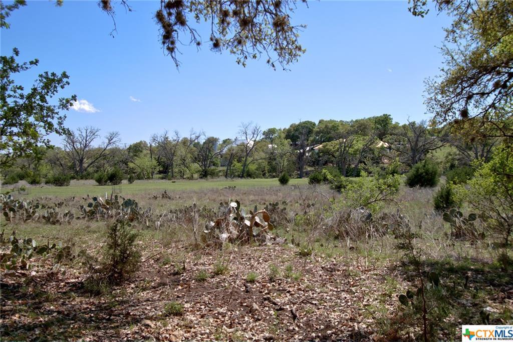 521 Rittimann Road - Photo 1