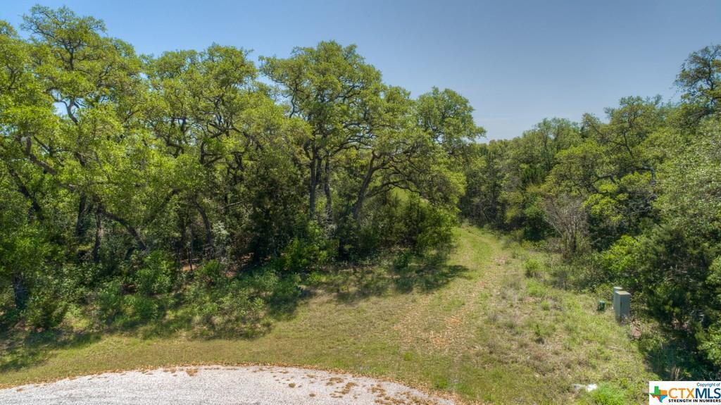 133 Ashland Drive - Photo 1