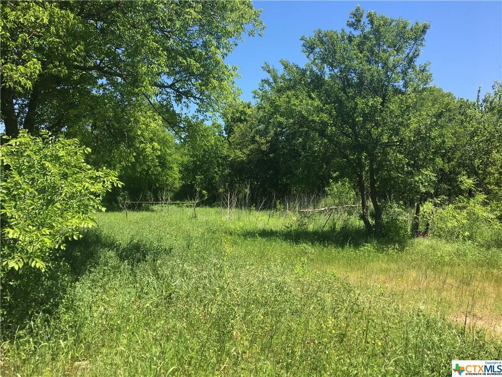 105 County Road 231 Road - Photo 1