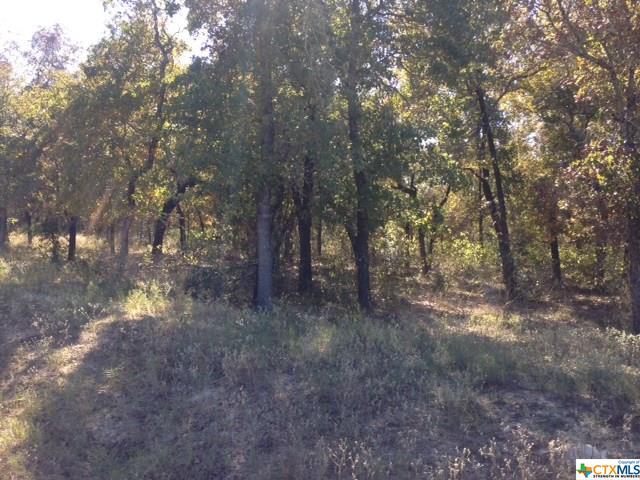 Lot 46 Powder Ridge - Photo 1