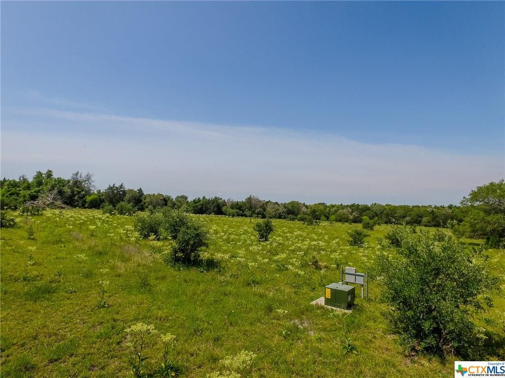 000 Pin Oak - Photo 1