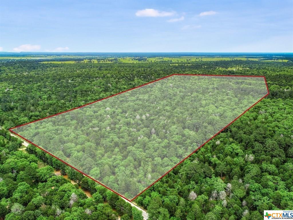 000 Gotier Trace Road - Photo 1