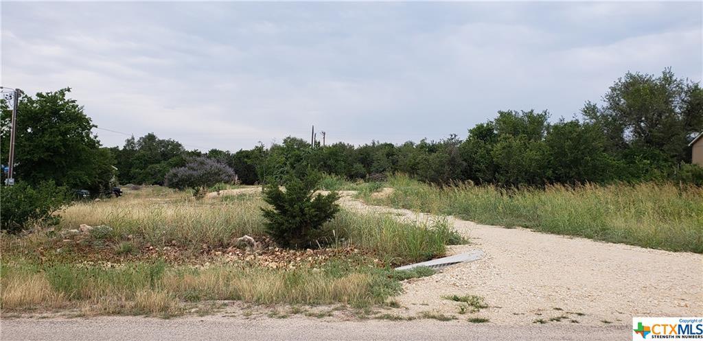 1220 Morningwood - Photo 1