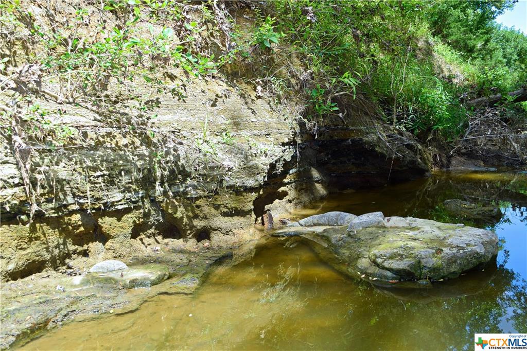 995 Carter Rd. - Photo 1