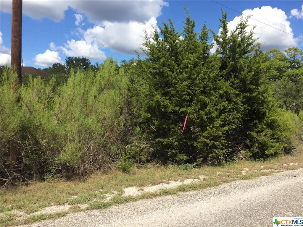 565 Bluebonnet Breeze - Photo 1