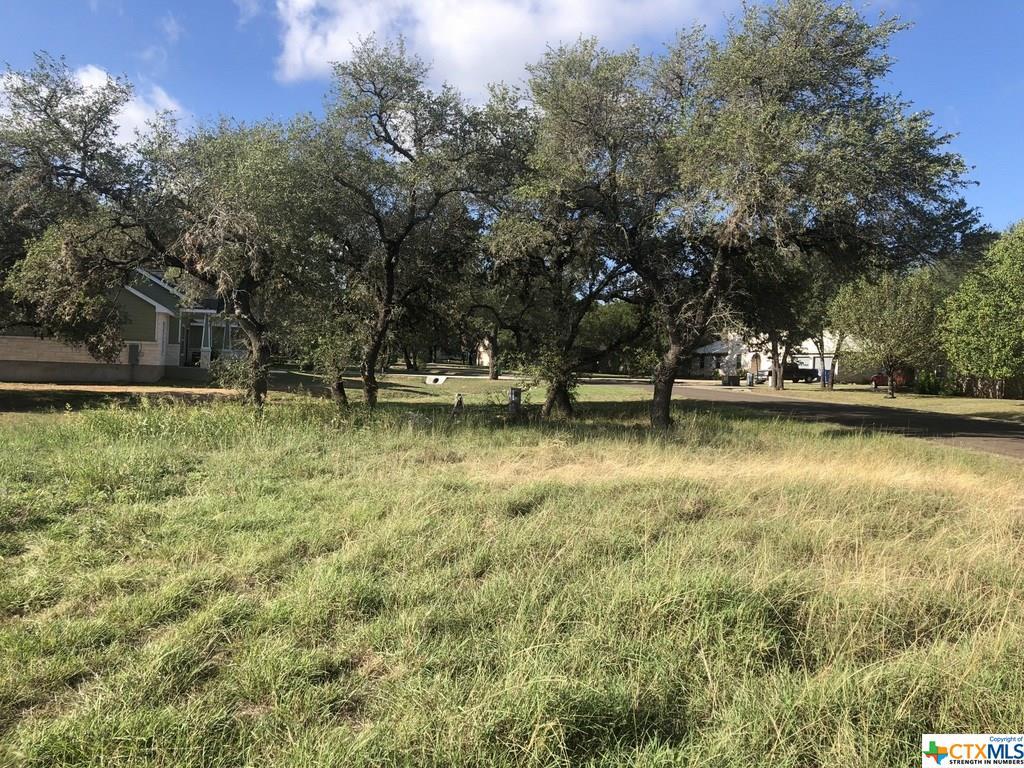 TBA Winding Oak Drive - Photo 1