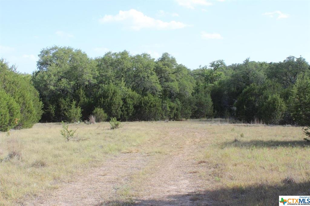 6985-5 Tbd Cr 2001- Tract 5 - Photo 1