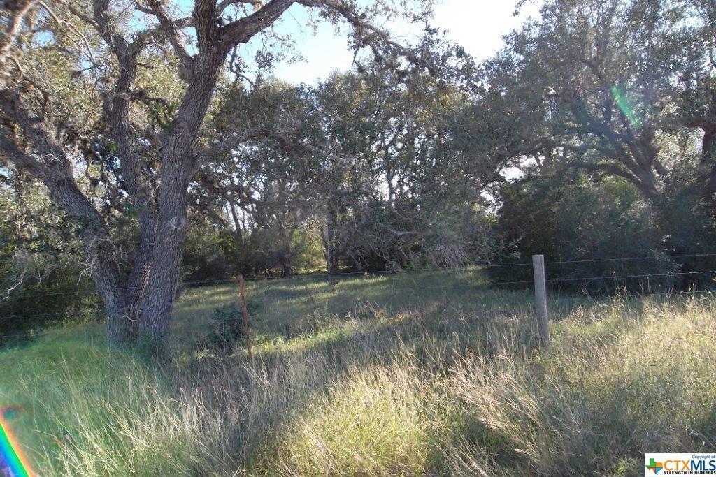 871 Sapenter Road - Photo 1