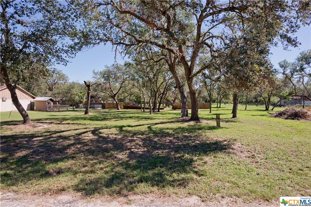 Lots 1&2 Coleto Dr - Photo 1