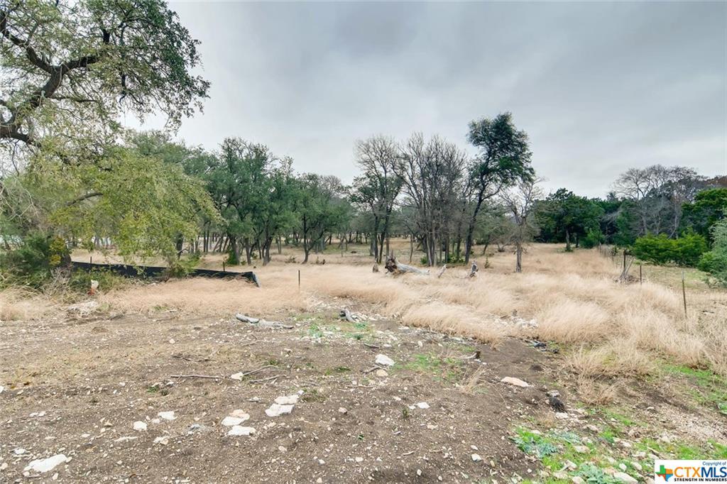 3100 Whitt Creek - Photo 1