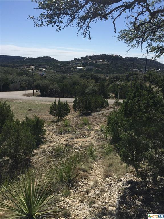 1234 Sunset - Photo 1