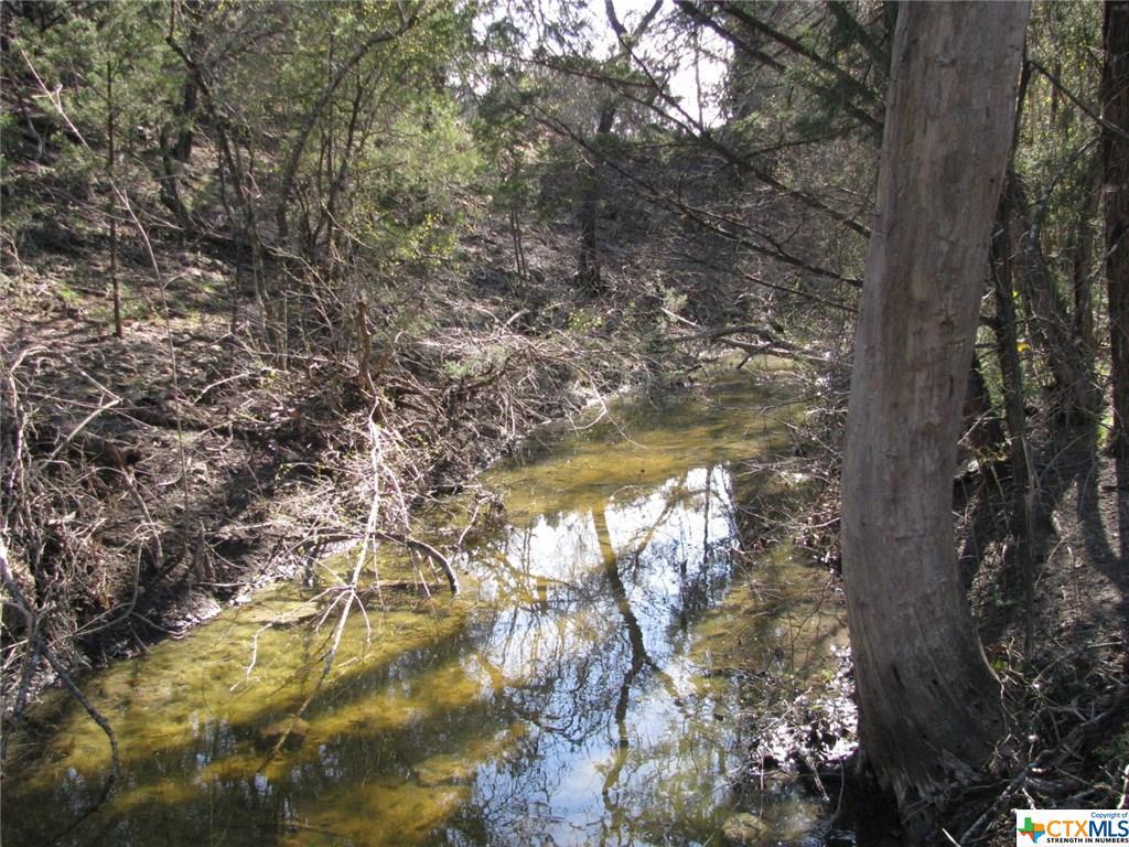 TBD County Road 181 - Photo 1