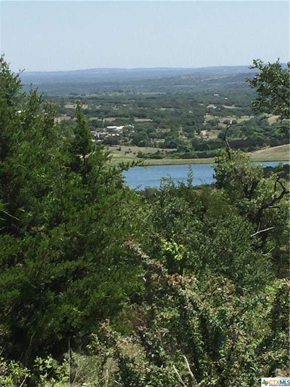 LOT Elk Run Cove - Photo 1