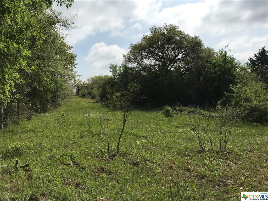 461 Cr 516 Tract 1 - Photo 1