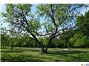 215 Private Road 2831 - Photo 1