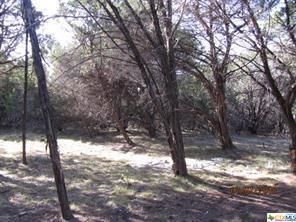 103 Mesa Trail - Photo 1