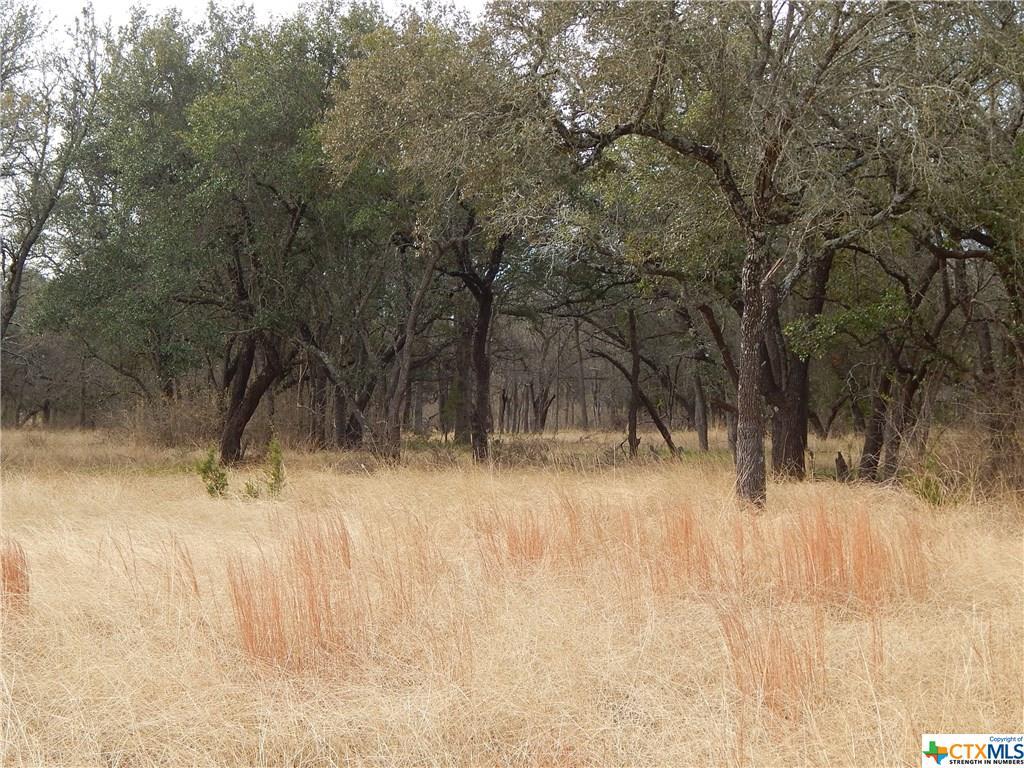 TBD Lot B County Road 225 - Photo 1 TBD Lot B County Road 225 - Photo 1