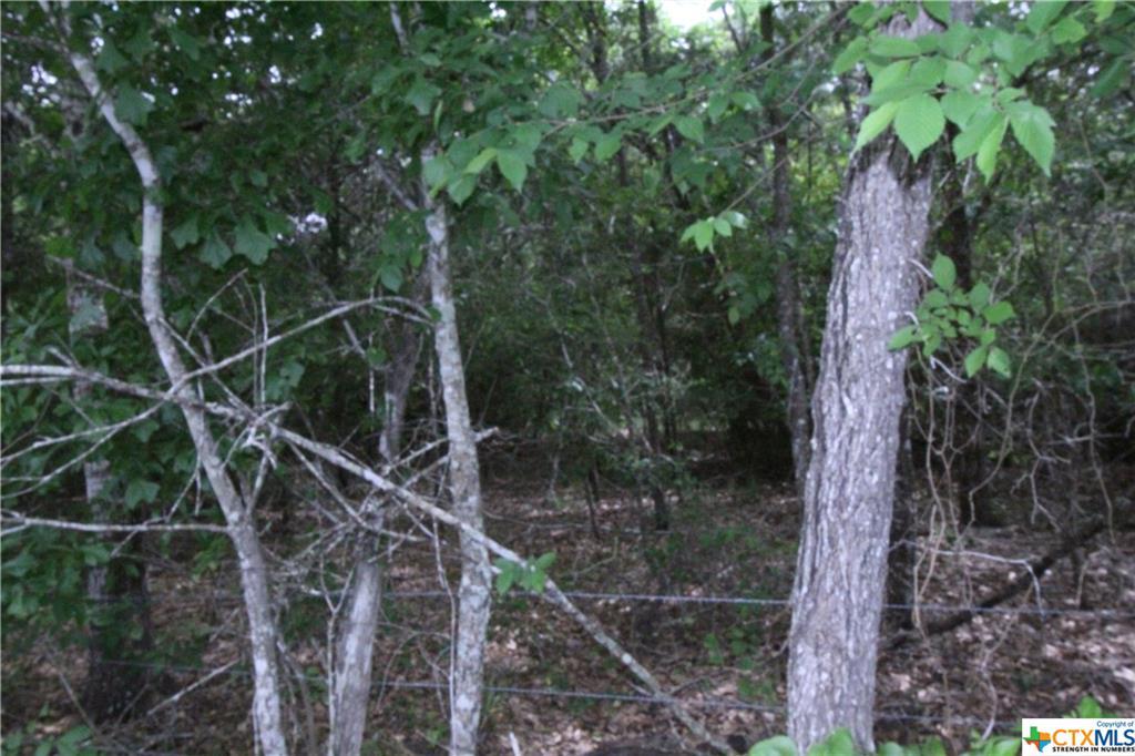 000 Parker Road - Photo 1