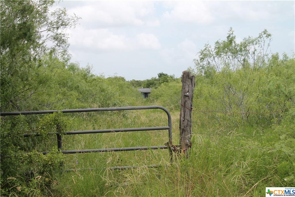 123 Cr 408 Road - Photo 1