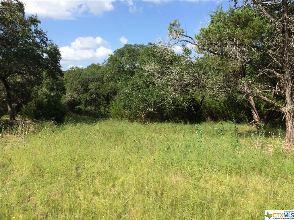 1226 Canyon Lake Drive - Photo 1 1226 Canyon Lake Drive - Photo 1