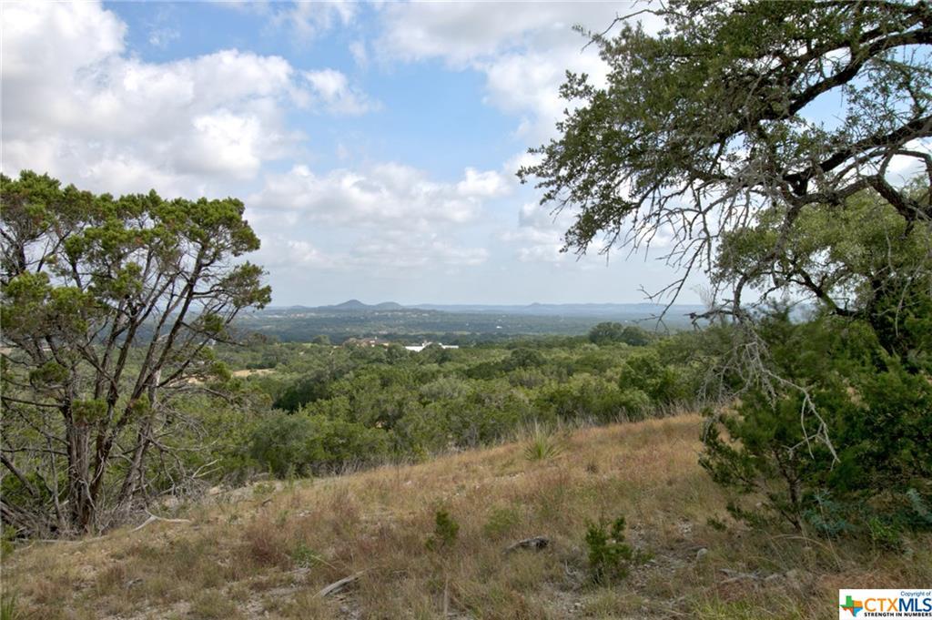 0 Palomino Springs - Photo 1