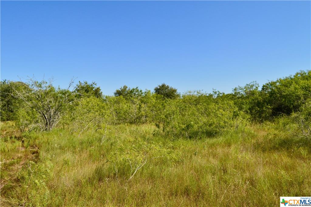 TBD County Rd 420 - Photo 1