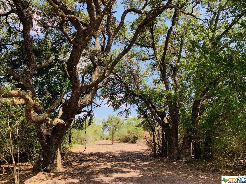 Tract 2 Rainbow Rd - Photo 1