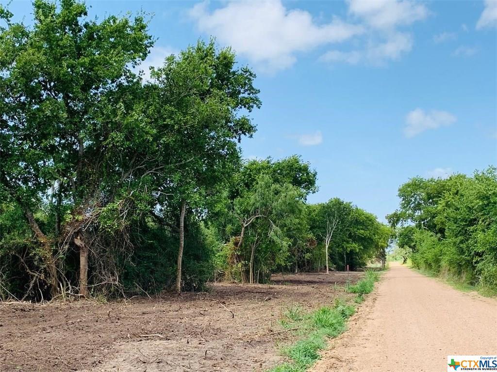 Tract 11 Rainbow Rd - Photo 1