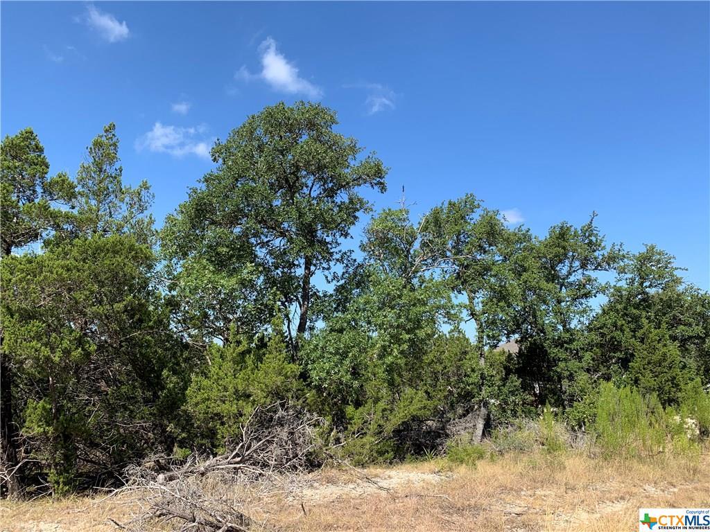 452 Paradise Hills - Photo 1