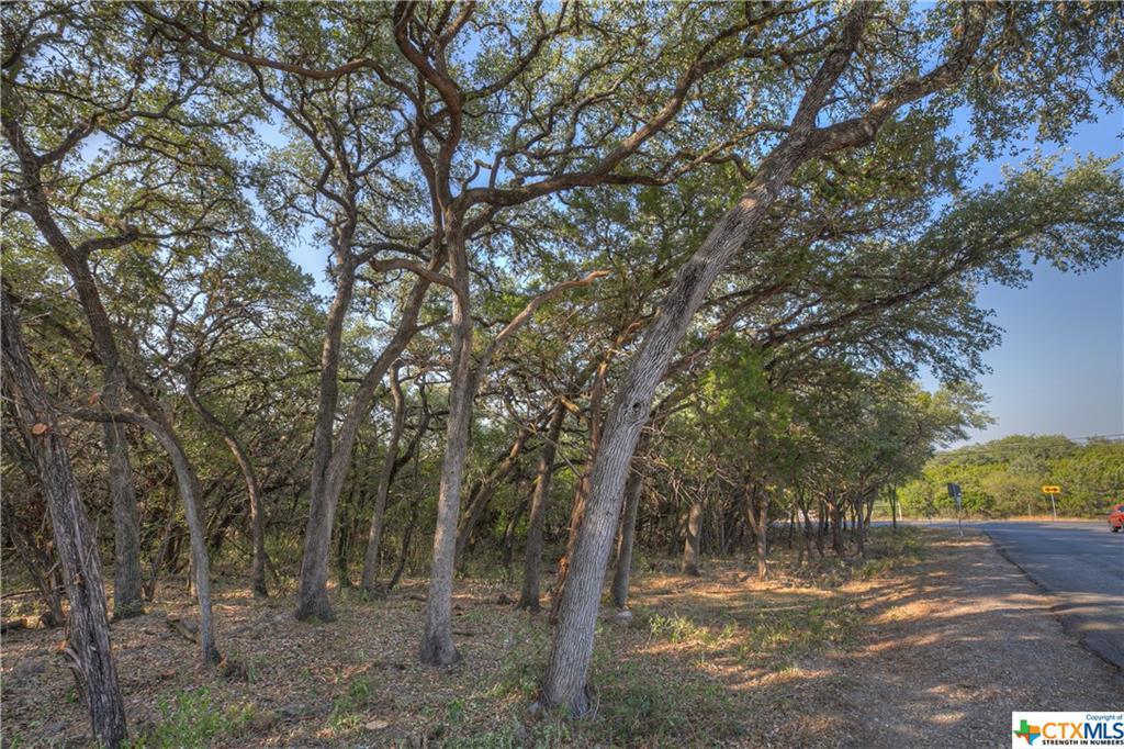 1598 River Road - Photo 1 1598 River Road - Photo 1