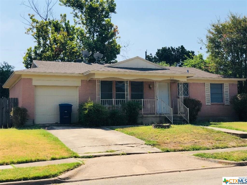 203 Nauert Street - Photo 1