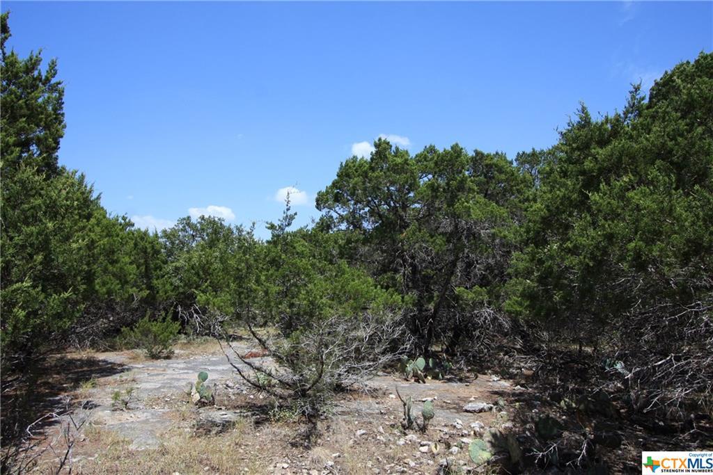 4875 Goliad Drive - Photo 1