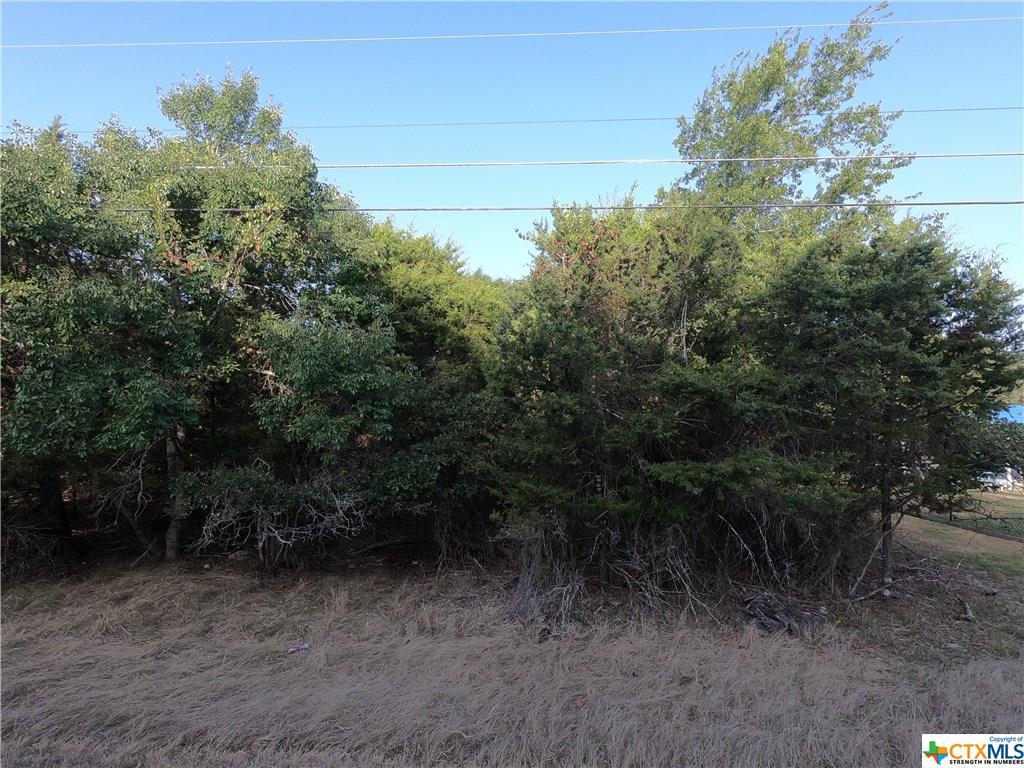 16125 Charlya Drive - Photo 1