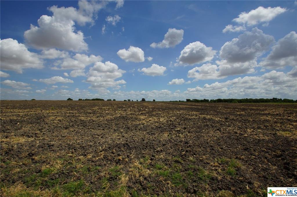 550 County Rd 333 - Photo 1
