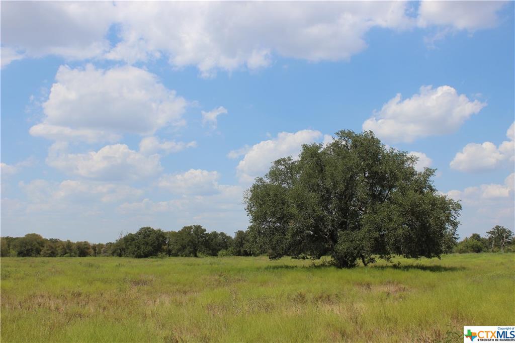 3838 Fm 2814 - Photo 1