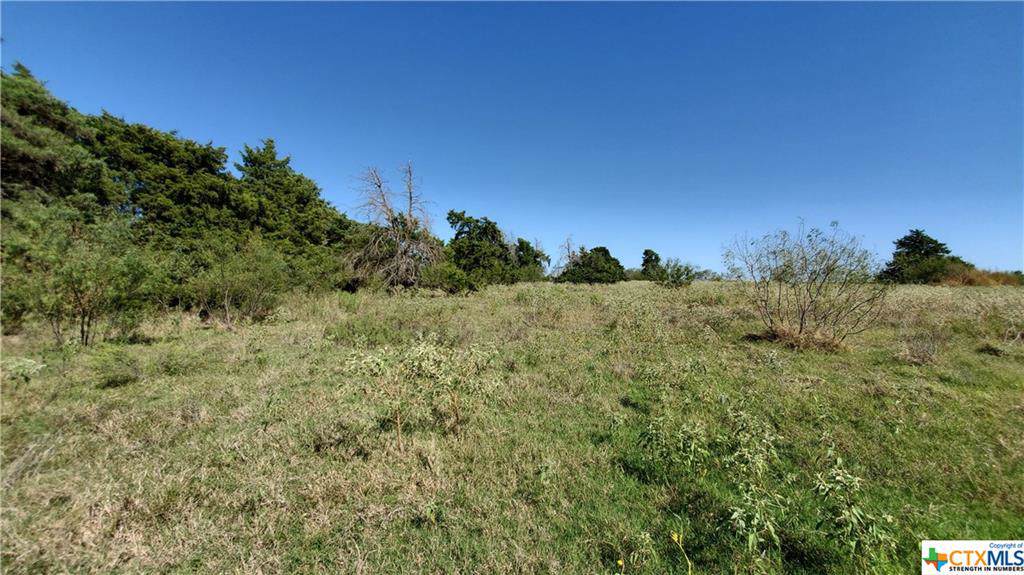 Tract 12 Cr 267 - Photo 1 Tract 12 Cr 267 - Photo 1