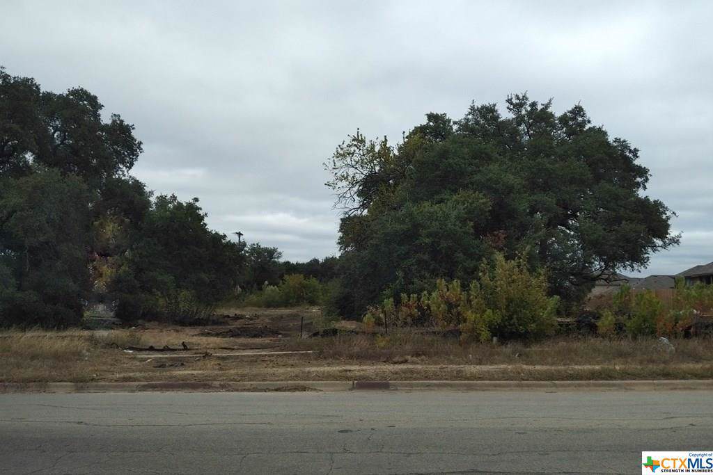 TBD Old Nolanville Road - Photo 1