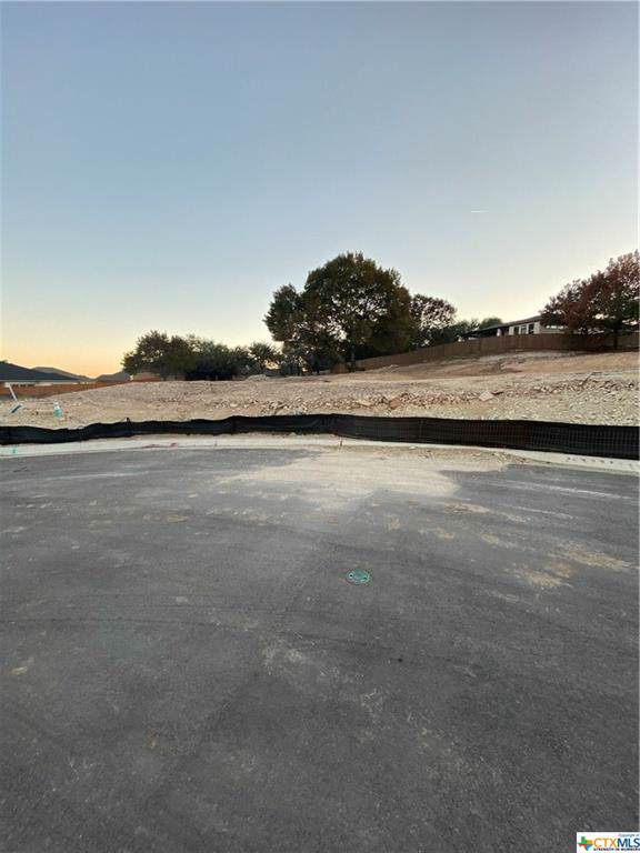 3018 Box Canyon - Photo 1