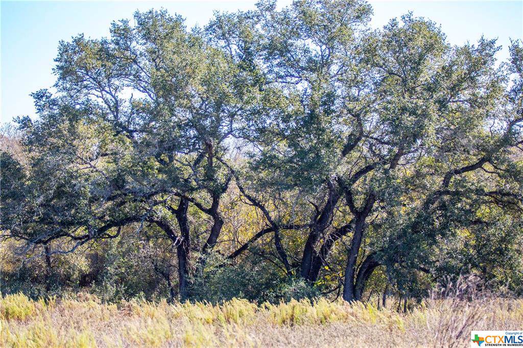 TBD County Rd 438 - Photo 1