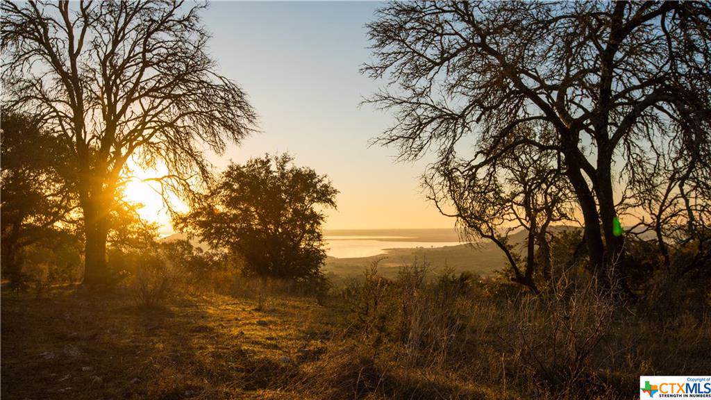 5315 Quanah Valley Road - Photo 1
