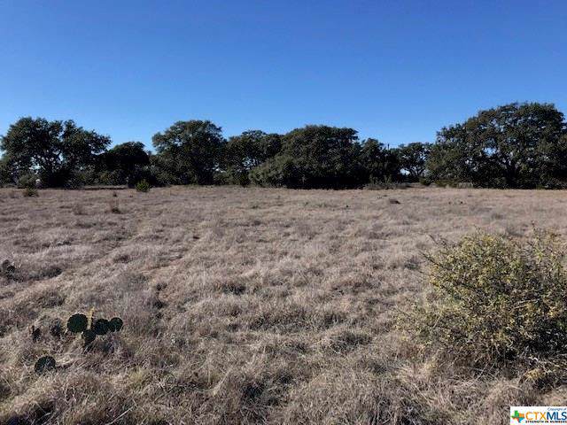 TBD Lot 161 Roy Nichols Road - Photo 1