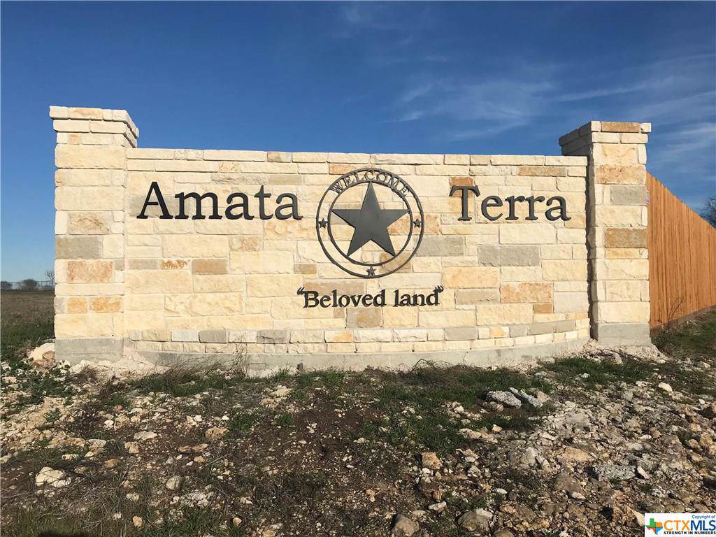 8312 Torrente Drive - Photo 1