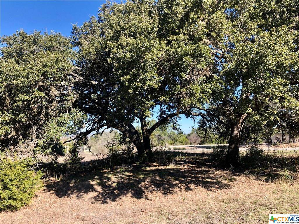 Lot 161 San Salvadore - Photo 1 Lot 161 San Salvadore - Photo 1