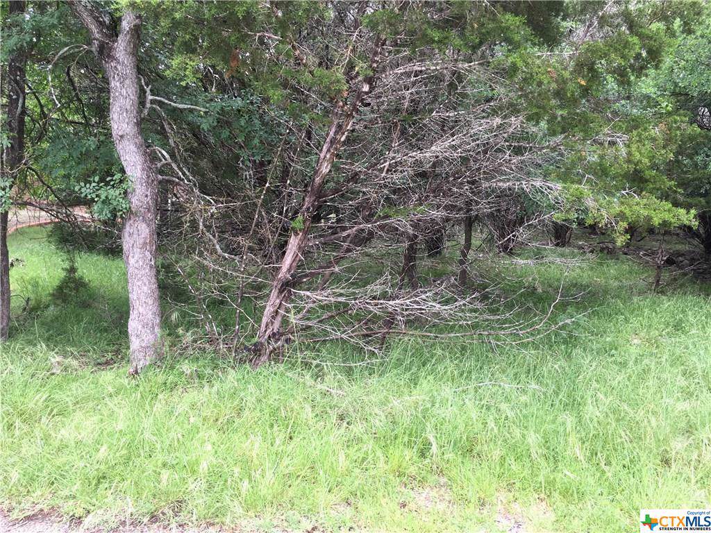 38, 44, 58 Blue Roan Dr., Buckskin Lp. - Photo 1