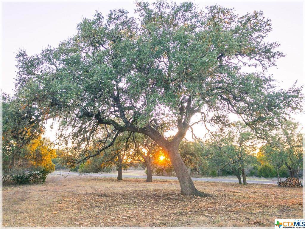 LOT 8 Sabinas Creek Ranch Rd - Photo 1 LOT 8 Sabinas Creek Ranch Rd - Photo 1