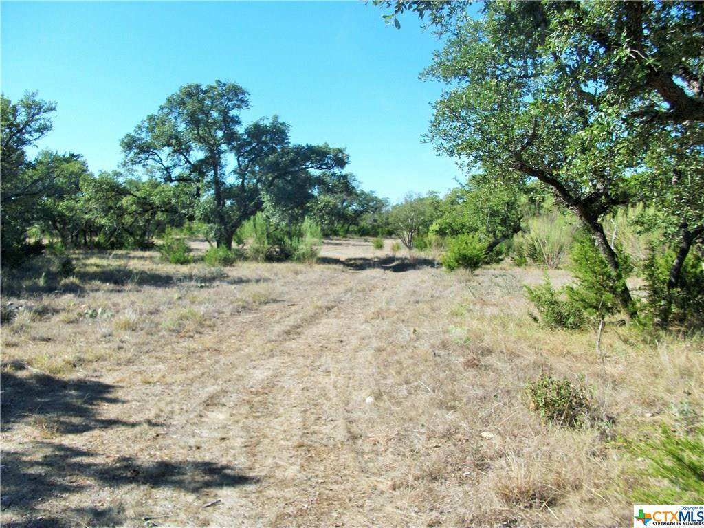 T 19 Mount Moriah - Photo 1