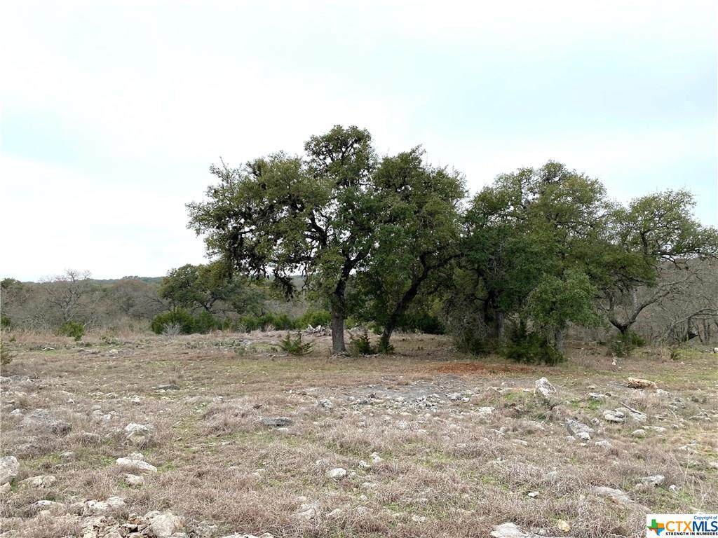 416 Havasu Point - Photo 1
